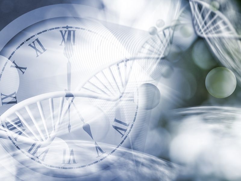Aging Clock Developed From Inflammatory Immune Features Genomeweb